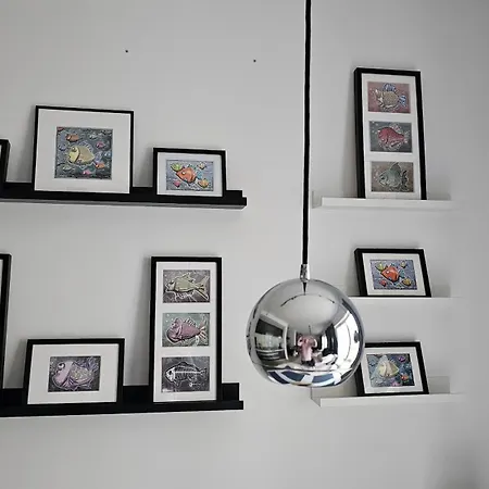 Grigio Stella Baltic 26 *